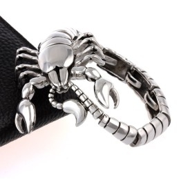 Schorpioendier Gepolijst Titanium Armband