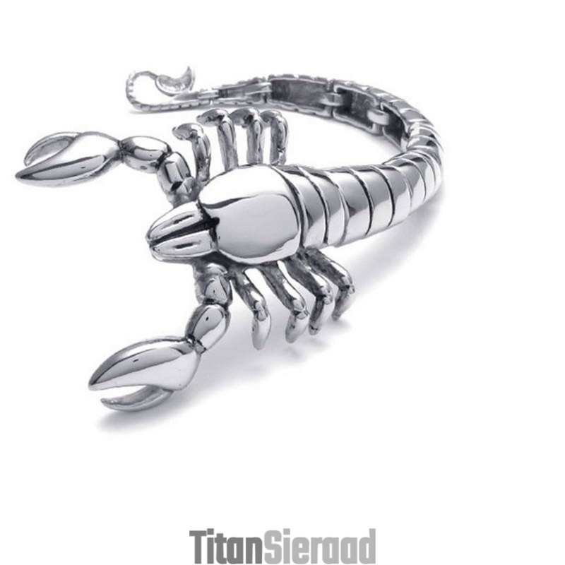 Schorpioendier Gepolijst Titanium Armband