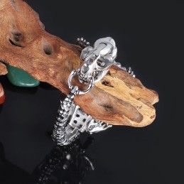 Retro Overdreven Coole Dinosaurus Chique Stijl Titanium Armband Voor Mannen
