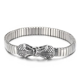 Coole Dubbele Slangenkop Chique Stijl Titanium Armband Voor Mannen
