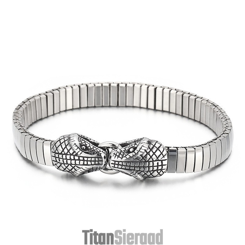 Coole Dubbele Slangenkop Chique Stijl Titanium Armband Voor Mannen Coole Dubbele Slangenkop Chique Stijl Titanium Armband Voor Mannen