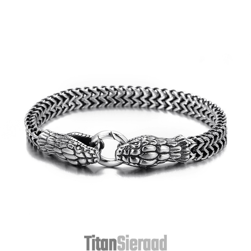 Vintage Cool Fashion Dubbelkoppige Slang Titanium Armband Voor Heren