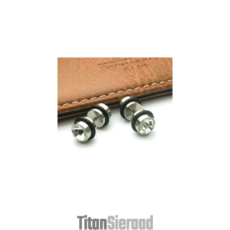 Titanium Diamanten Oorbellen Punctie