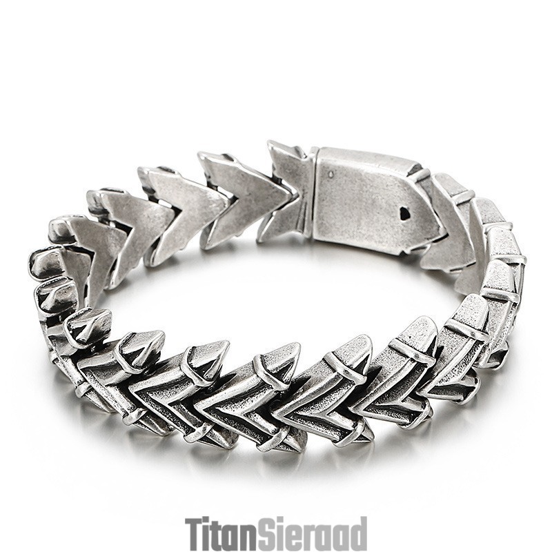 Coole, Overdreven Chique Titanium Armband Voor Heren