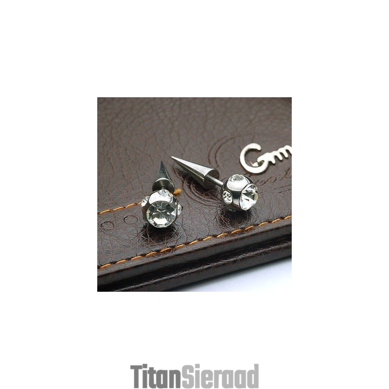 Titanium Diamanten Oorbellen Punctie