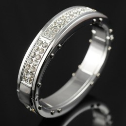 Heren Titanium Diamanten Armbanden