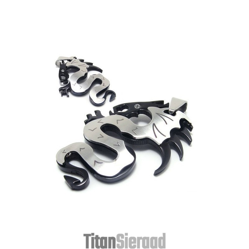 Zwarte Draken Heren Titanium Ketting Hanger Zwarte Draken Heren Titanium Ketting Hanger