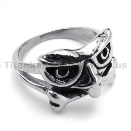Titanium Schedelring