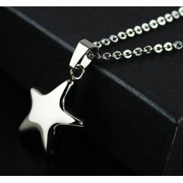 Hangers En Ketting Van Puur Titanium Met Zilveren Ster