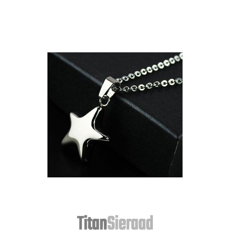 Hangers En Ketting Van Puur Titanium Met Zilveren Ster Hangers En Ketting Van Puur Titanium Met Zilveren Ster