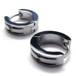 Zilveren Titanium Lus Oorbellen