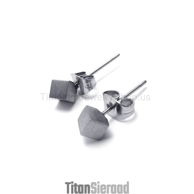 Zilveren Roos Titanium Oorbellen Zilveren Roos Titanium Oorbellen