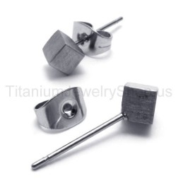 Zilveren Roos Titanium Oorbellen