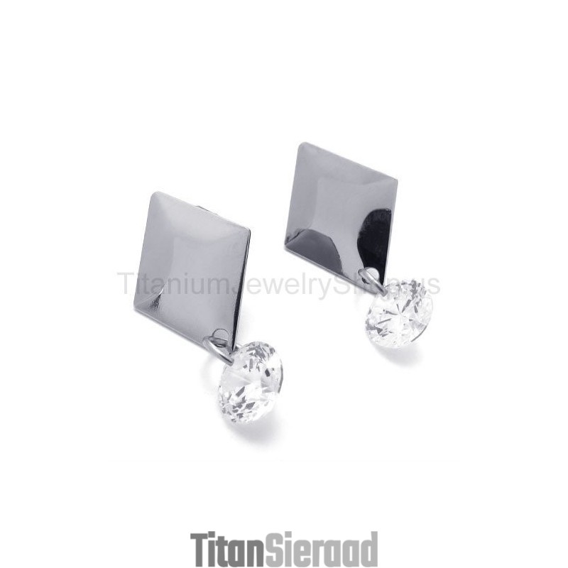Zilveren Oorbellen Met Diamanten Van Titanium