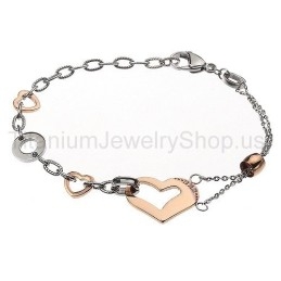 Lieverd Titanium Armband