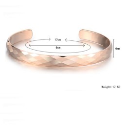 Tungsten Rosegoud Hoogglans Bangle C895