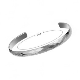 Wolfraam Zilveren Hoogglans Bangle C897