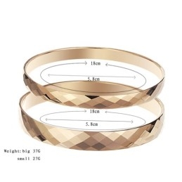 Tungsten Rosegoud Hoogglans Bangle C892