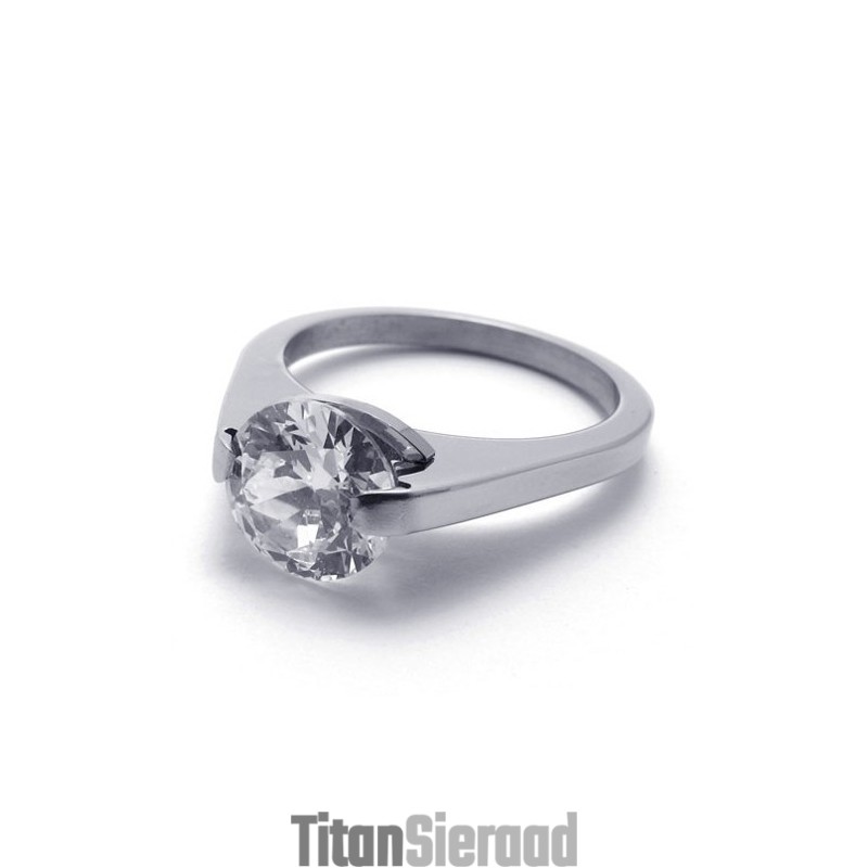Diamanten Titanium Ring Diamanten Titanium Ring