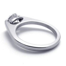 Diamanten Titanium Ring