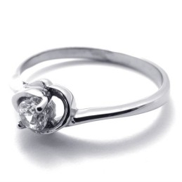 Diamanten Titanium Ring Voor Vrouwen