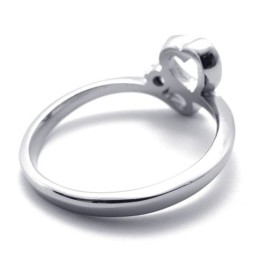 Diamanten Dames Titanium Ring