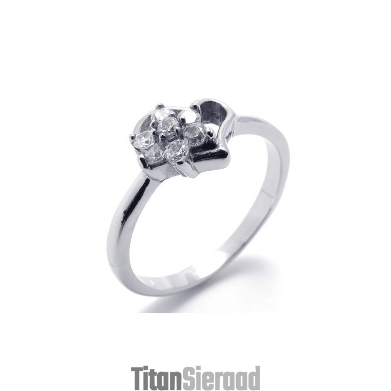 Diamanten Titanium Ring Diamanten Titanium Ring
