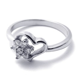 Diamanten Titanium Ring