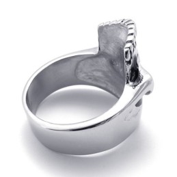 Schedel Titanium Ring