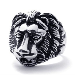 Leeuwen Titanium Ring