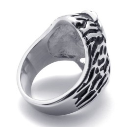 Schedel Titanium Ring