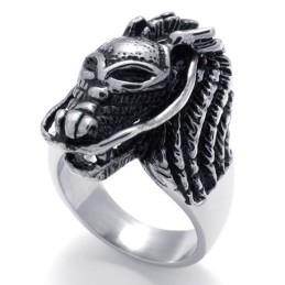 Schedel Titanium Ring
