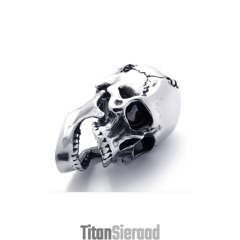 Schedel Titanium Hanger Schedel Titanium Hanger