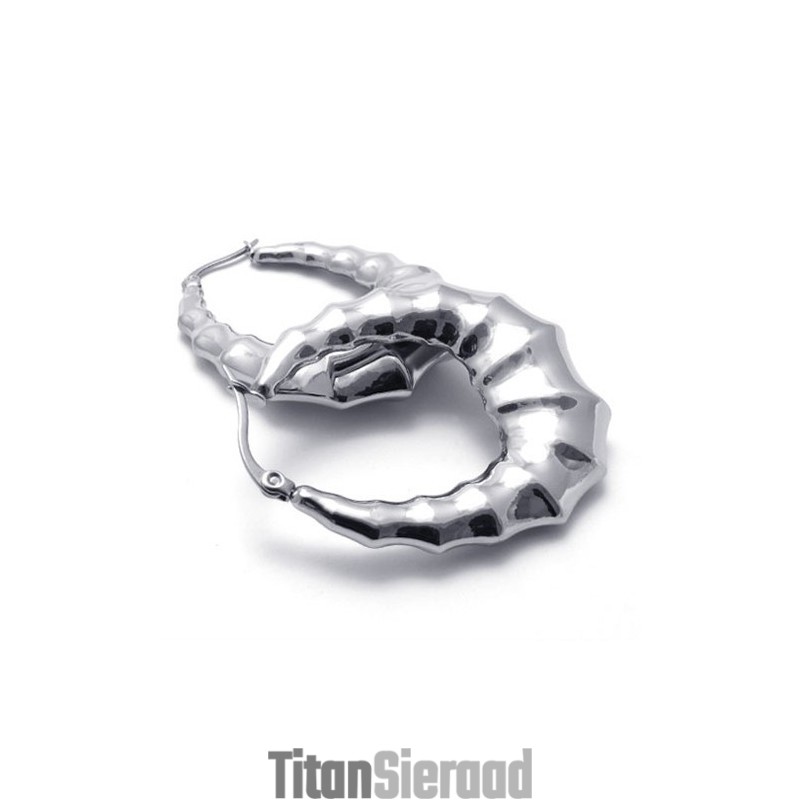 Hoorn Titanium Oorbellen Hoorn Titanium Oorbellen
