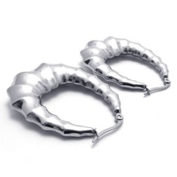 Hoorn Titanium Oorbellen