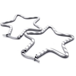Ster Titanium Oorbellen