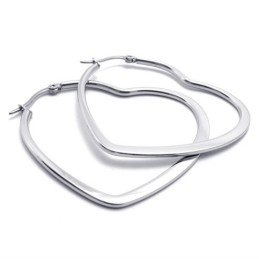 Hartvormige Titanium Oorbellen