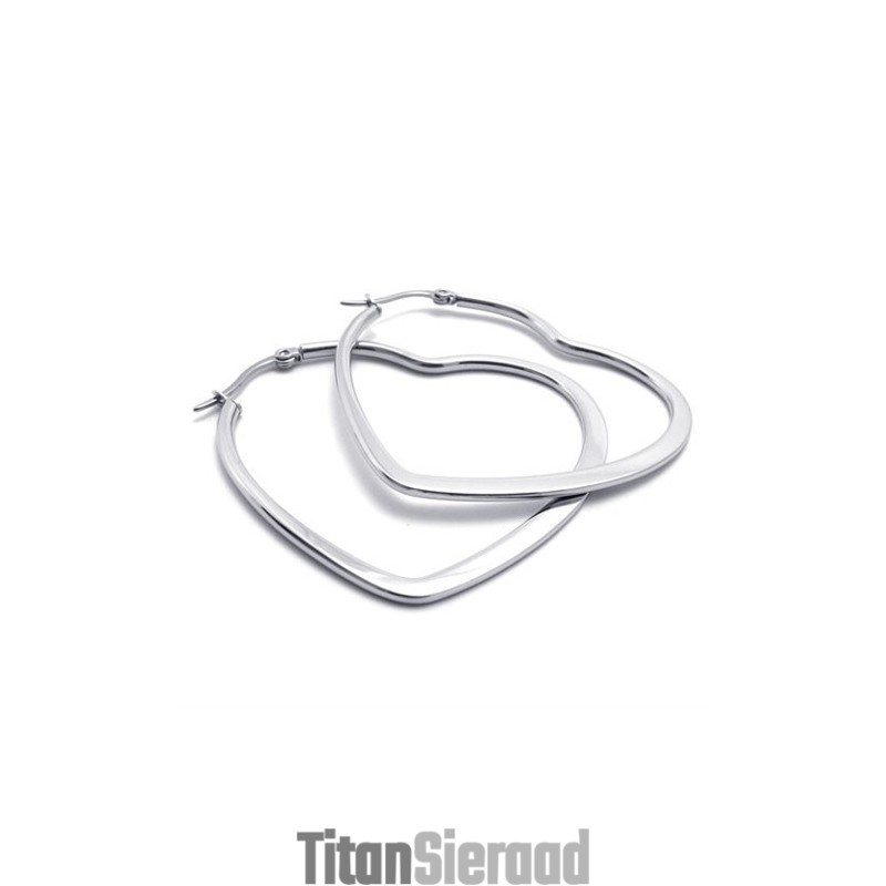 Hartvormige Titanium Oorbellen