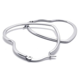 Hartvormige Titanium Oorbellen