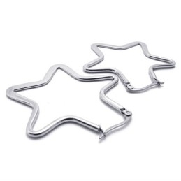 Ster Titanium Oorbellen