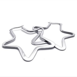 Ster Titanium Oorbellen