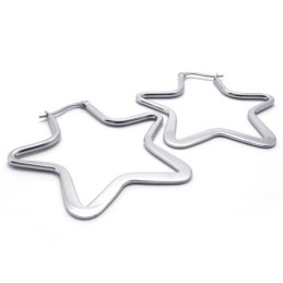 Ster Titanium Oorbellen