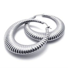 Ring Titanium Oorbellen