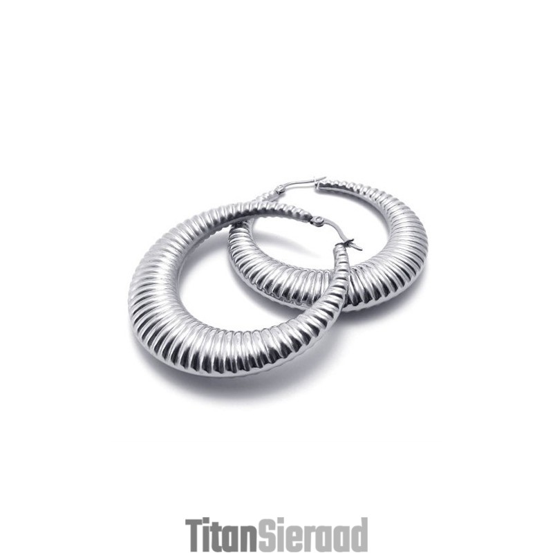 Ring Titanium Oorbellen Ring Titanium Oorbellen