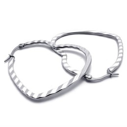 Hartvormige Titanium Oorbellen