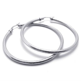 Ring Titanium Oorbellen