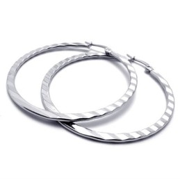 Ring Titanium Oorbellen