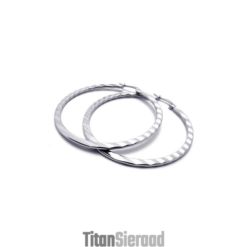Ring Titanium Oorbellen