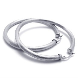 Ring Titanium Oorbellen
