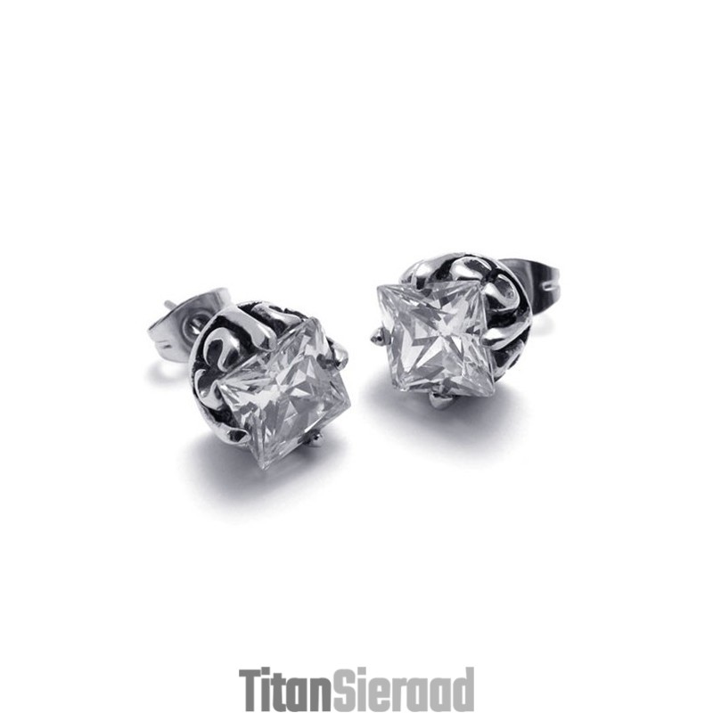 Diamanten Titanium Oorbellen Diamanten Titanium Oorbellen
